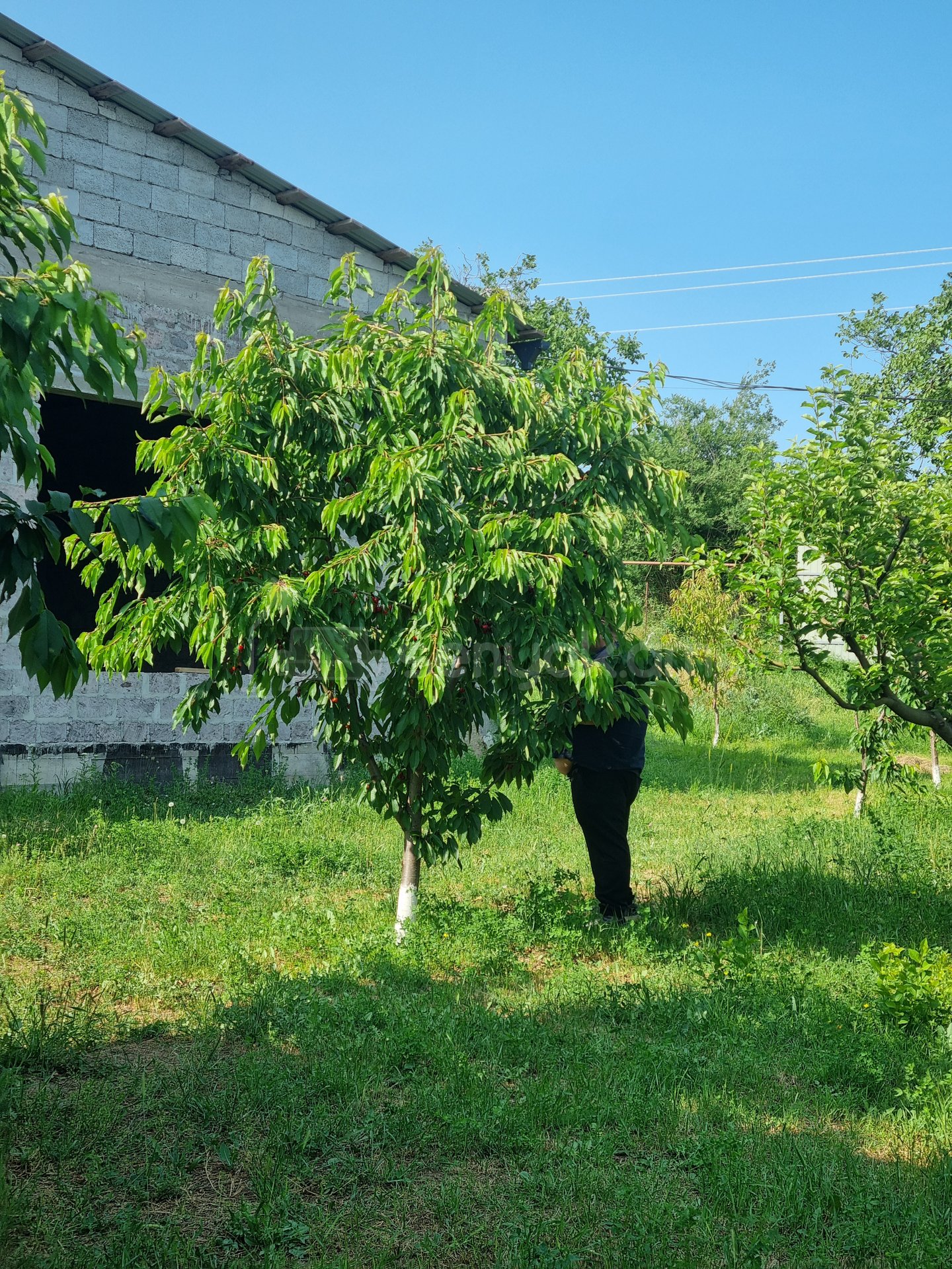 Ազատ նախագծով Սեփական Տուն, 181քմ