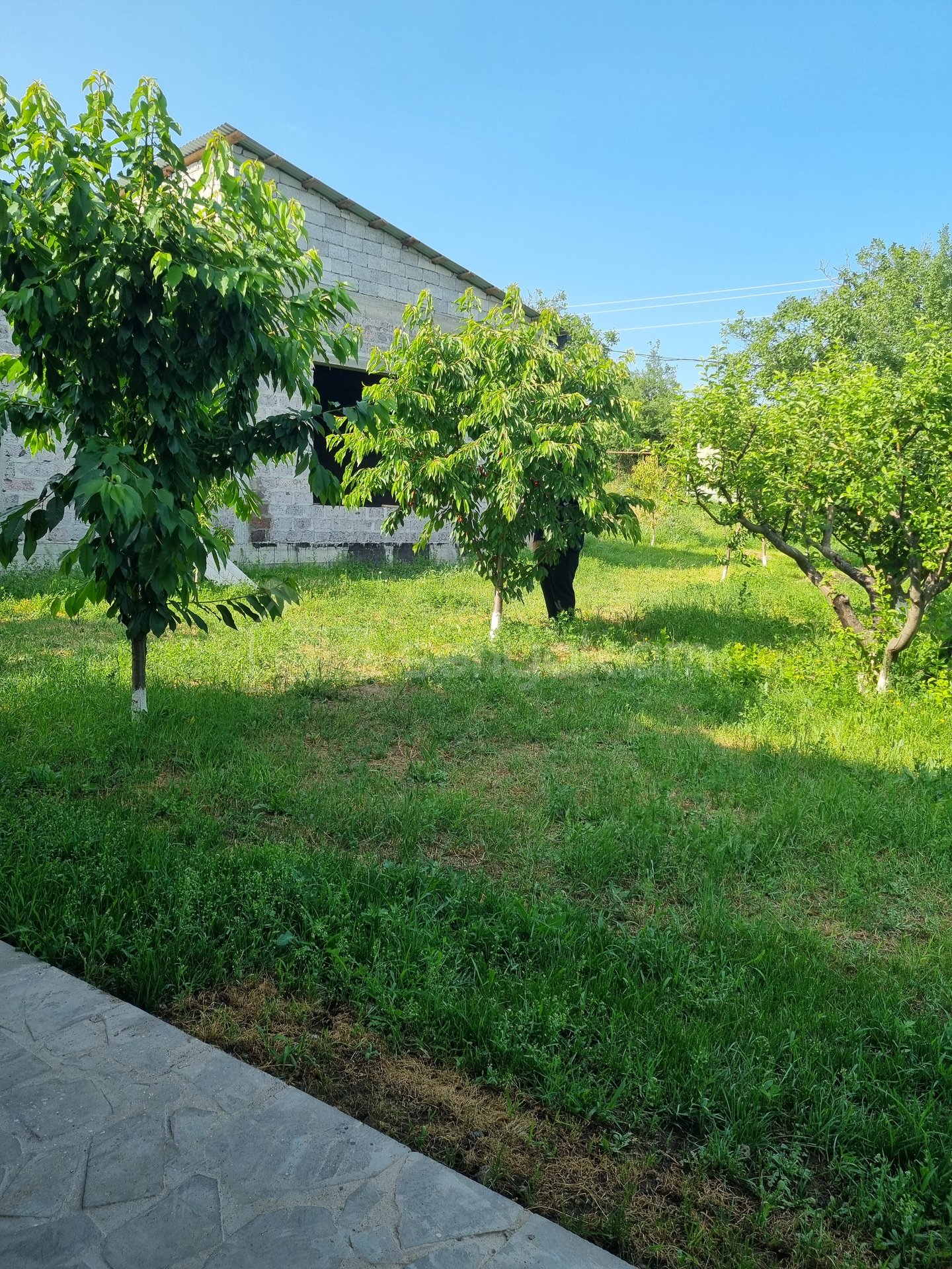 Ազատ նախագծով Սեփական Տուն, 181քմ