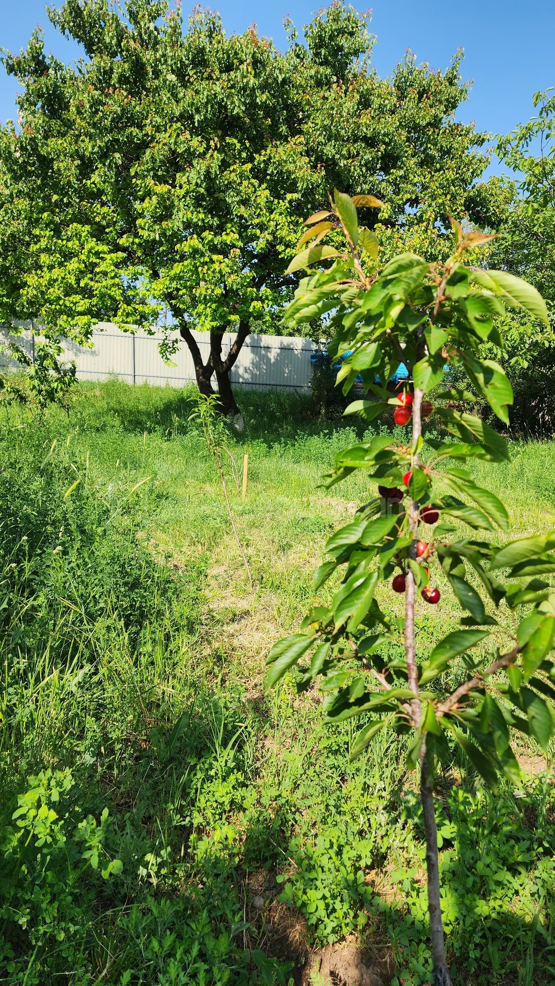 Ազատ նախագծով Սեփական Տուն, 181քմ