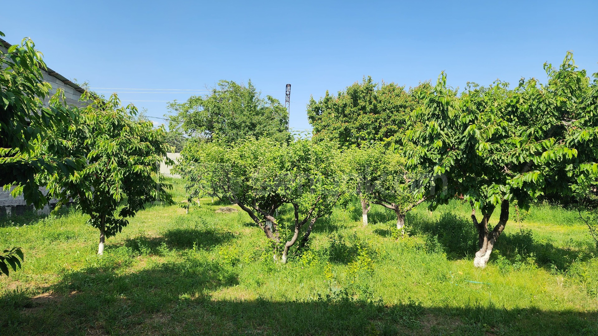 Ազատ նախագծով Սեփական Տուն, 181քմ