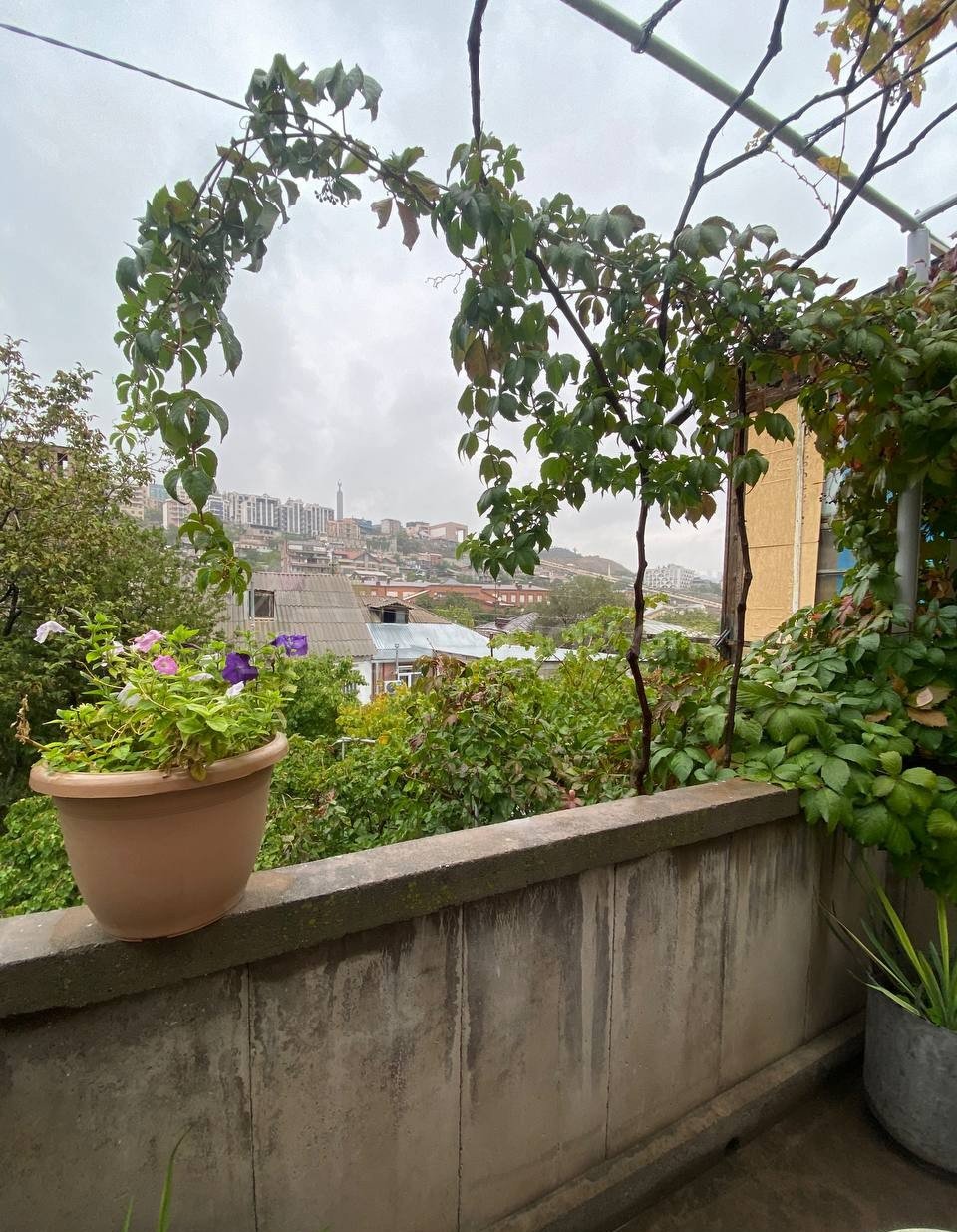 Օֆիսային Տարածք, 100քմ