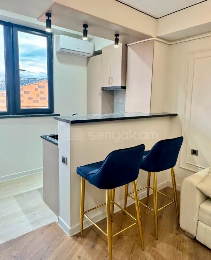 2 Սենյականոց Բնակարան, 43քմ, 8/9 հարկ, Կապիտալ Վերանորոգված