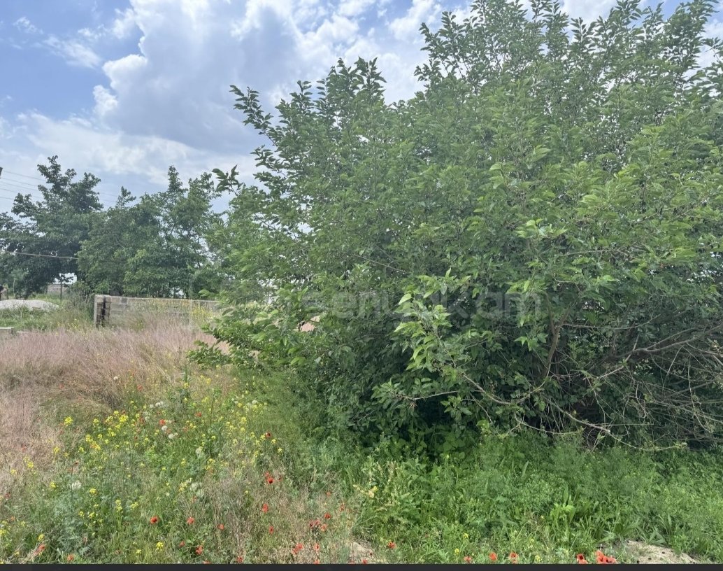 Բնակելի Նշանակության Հողատարածք, 1000քմ, Խմելու Ջրով, Էլեկտրականությամբ