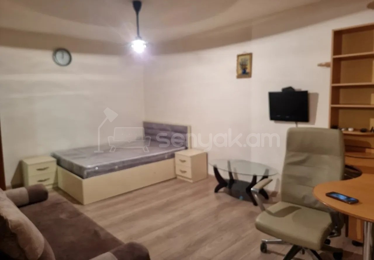 1 Սենյականոց Բնակարան Քարե Շենքում, 40քմ, 5/5 հարկ, Դիզայներական Վերանորոգված, Կահավորված