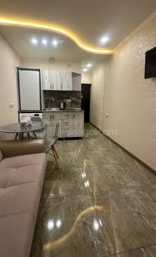 1 Սենյականոց Բնակարան, 25քմ, 5/9 հարկ, Դիզայներական Վերանորոգված, Կահավորված