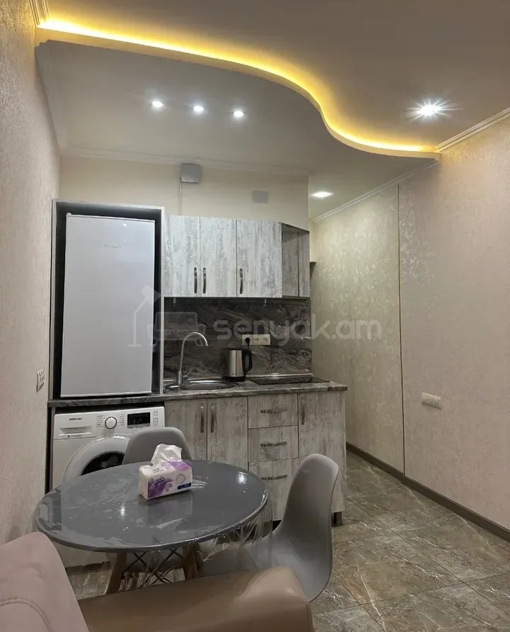 1 Սենյականոց Բնակարան, 25քմ, 5/9 հարկ, Դիզայներական Վերանորոգված, Կահավորված