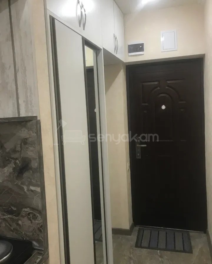 1 Սենյականոց Բնակարան, 25քմ, 5/9 հարկ, Դիզայներական Վերանորոգված, Կահավորված