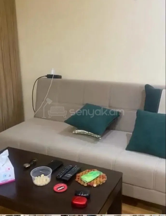 1 Սենյականոց Բնակարան Քարե Շենքում, 32քմ, 1/5 հարկ, Կոսմետիկ Վերանորոգված, Կահավորված