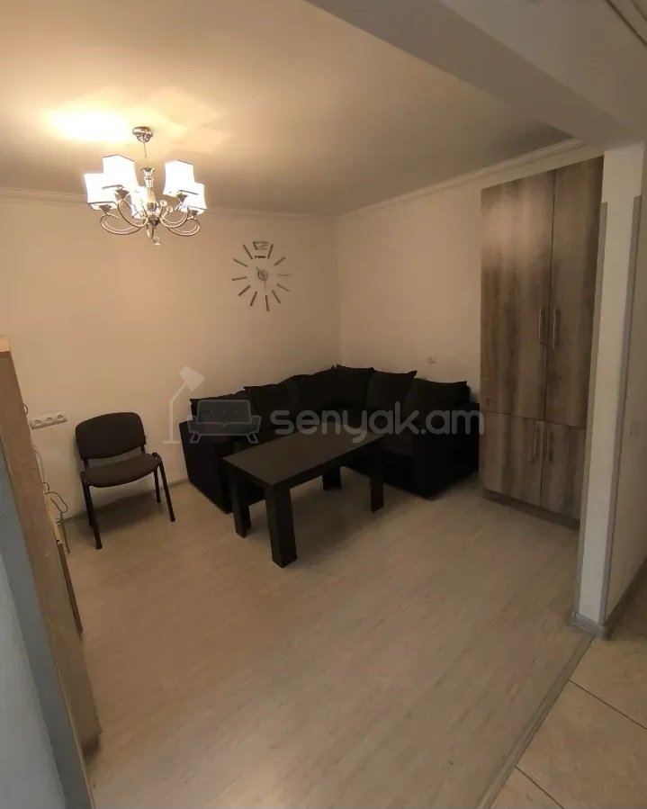 1 Սենյականոց Բնակարան Քարե Շենքում, 35քմ, 4/5 հարկ, Կապիտալ Վերանորոգված, Կահավորված