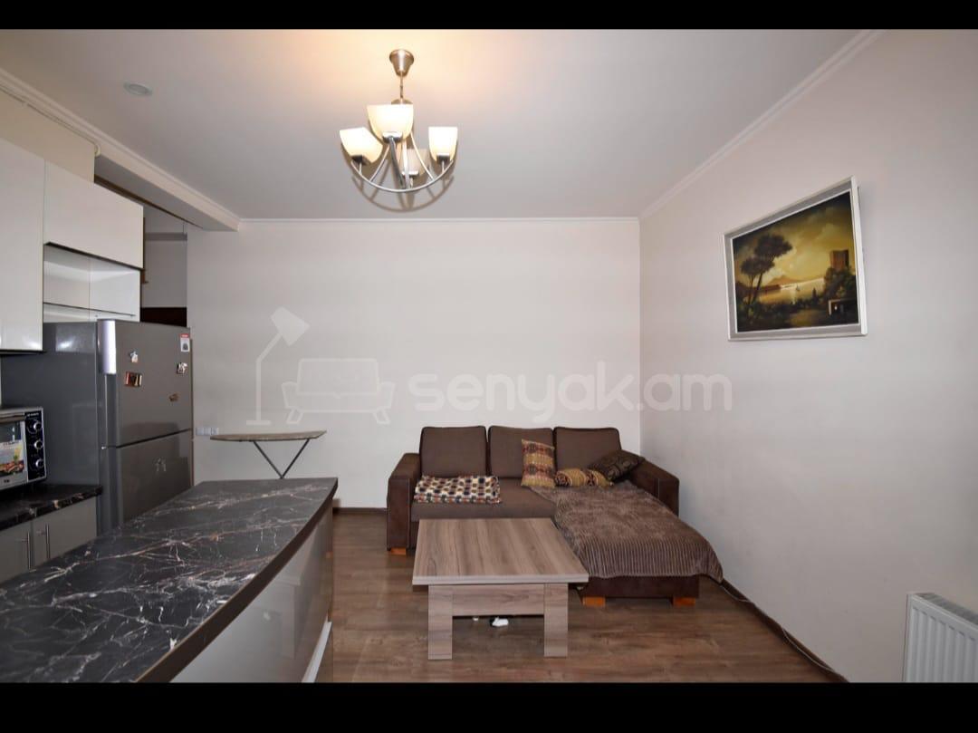 1 Սենյականոց Բնակարան Քարե Շենքում, 38քմ, 3/4 հարկ, Կոսմետիկ Վերանորոգված, Կահավորված, Արևկող