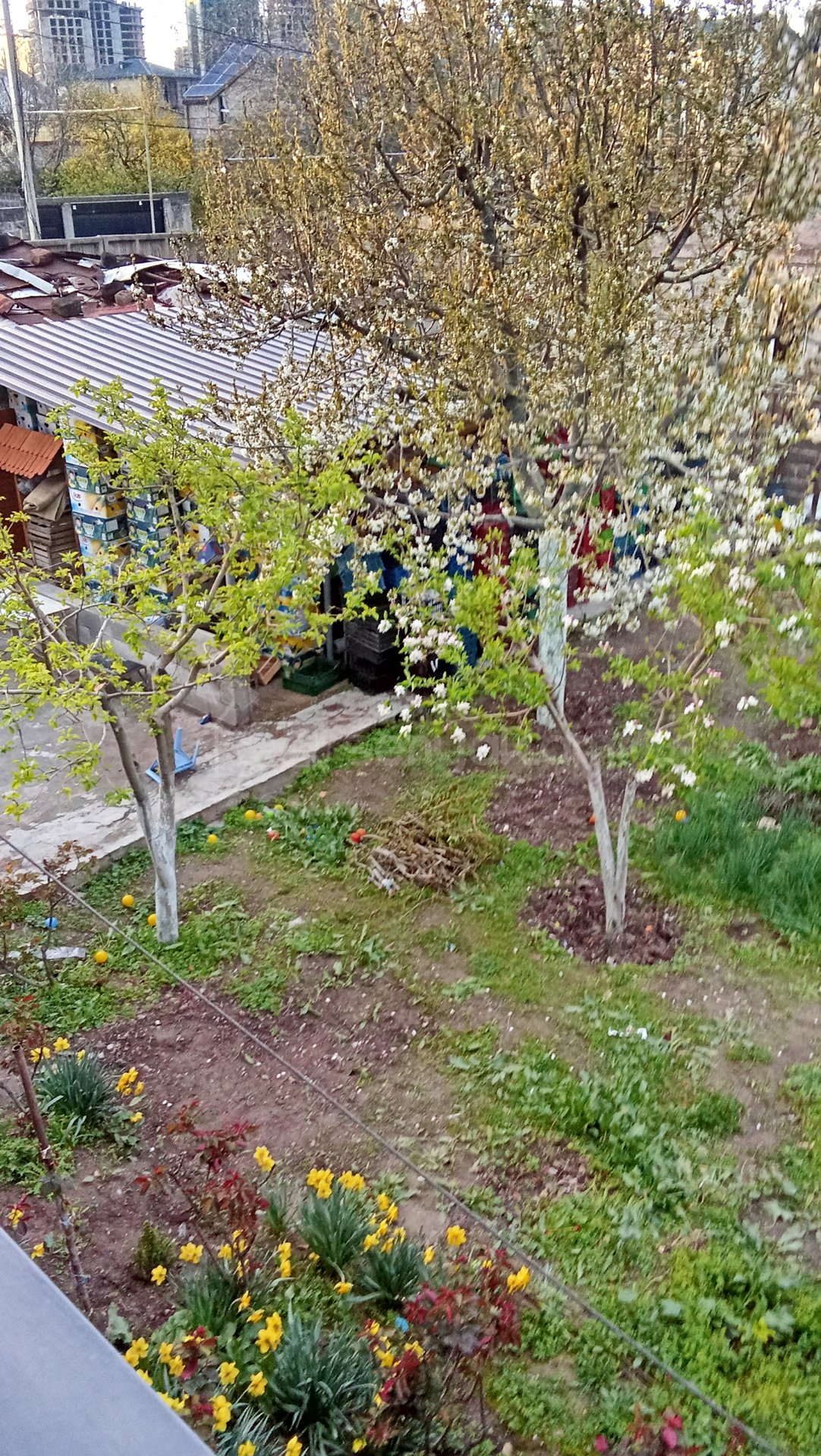 2 Սենյականոց Սեփական Տուն, 65քմ, Կոսմետիկ Վերանորոգված, Կահավորված