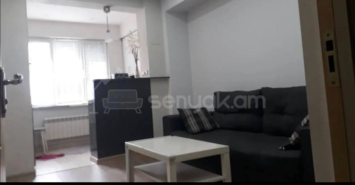 2 Սենյականոց Բնակարան, 50քմ, 1/9 հարկ, Կապիտալ Վերանորոգված, Կահավորված