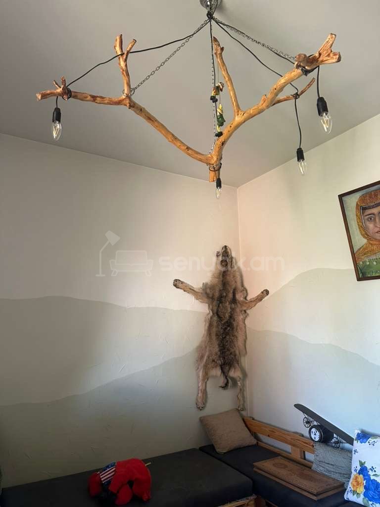 6 Սենյականոց Սեփական Տուն, 320քմ, Կապիտալ Վերանորոգված