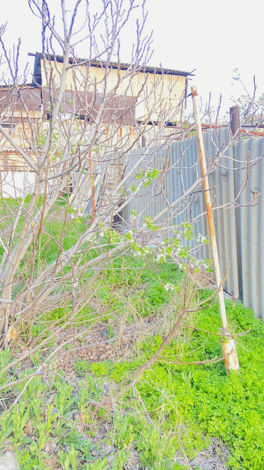 6 Սենյականոց Սեփական Տուն, 180քմ, Կոսմետիկ Վերանորոգված