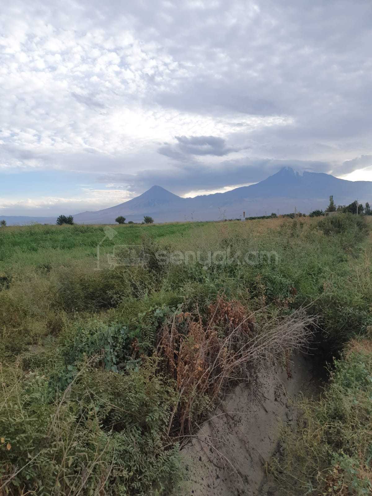 Հողատարածք, 1000քմ, Ոռոգման Ջրով