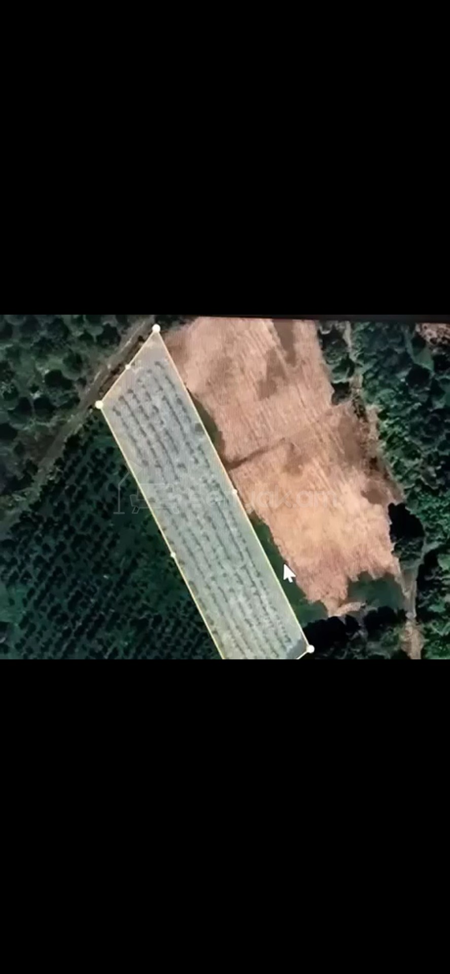 Հողամաս, 4000քմ