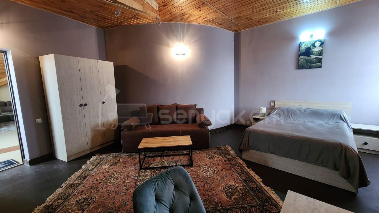 5 Սենյականոց Սեփական Տուն, 500քմ, Դիզայներական Վերանորոգված, Կահավորված