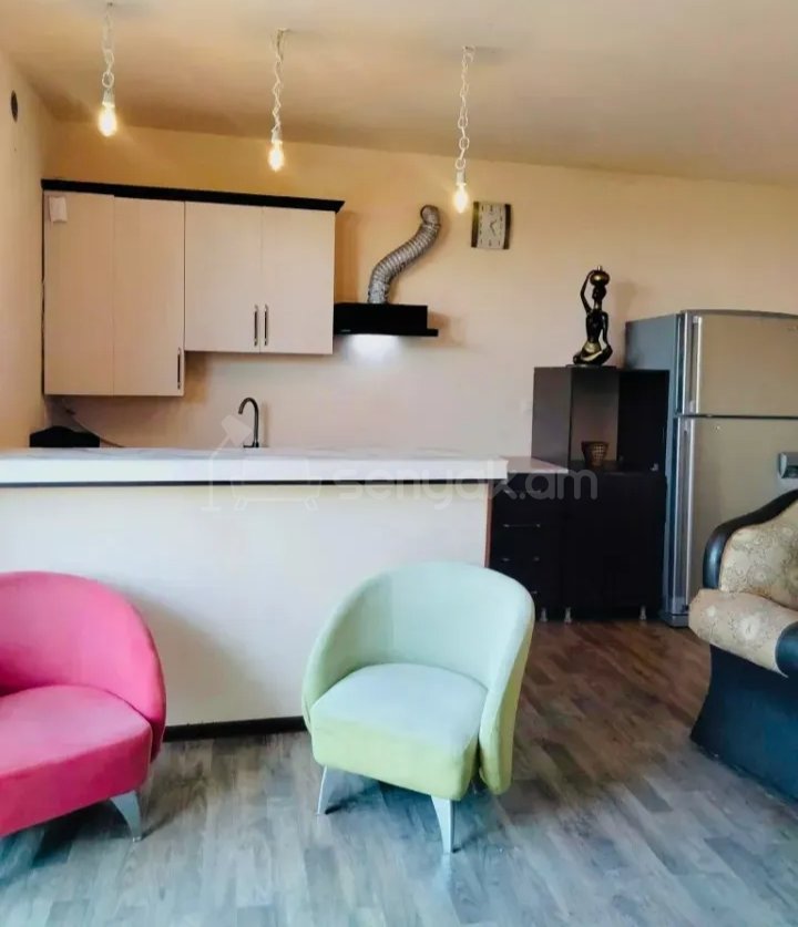 1 Սենյականոց Բնակարան Քարե Շենքում, 48քմ, 4/9 հարկ, Նորմալ Վիճակում, Կահավորված, Արևկող