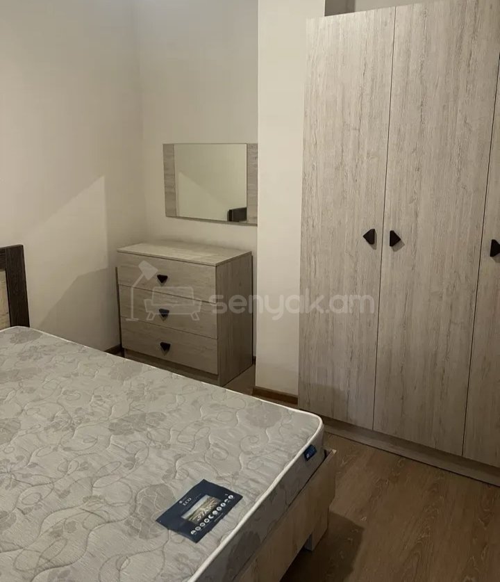 3 Սենյականոց Բնակարան Քարե Շենքում, 64քմ, 1/1 հարկ, Կապիտալ Վերանորոգված, Կահավորված