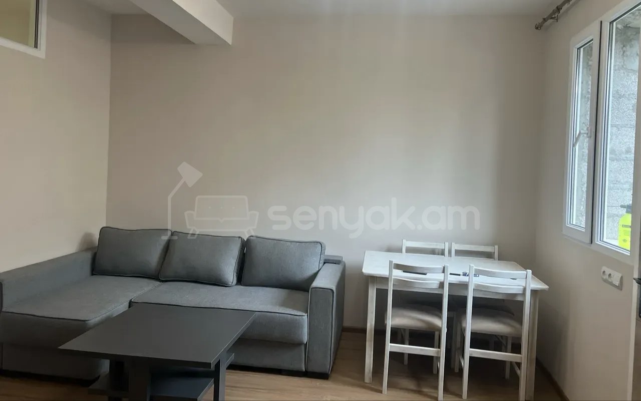 3 Սենյականոց Բնակարան Քարե Շենքում, 64քմ, 1/1 հարկ, Կապիտալ Վերանորոգված, Կահավորված