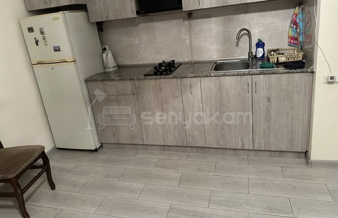 2 Սենյականոց Բնակարան Քարե Շենքում, 48քմ, 1/1 հարկ, Նորմալ Վիճակում, Կահավորված