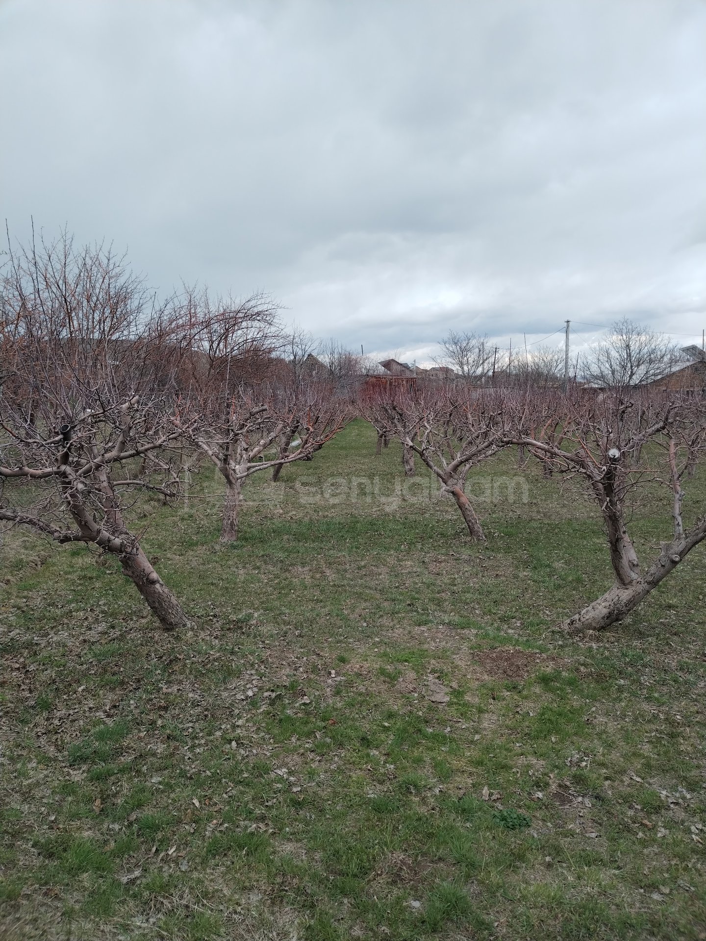 Բնակելի Նշանակության Հողատարածք, 3400քմ, Խմելու Ջրով, Էլեկտրականությամբ, Ցանկապատված