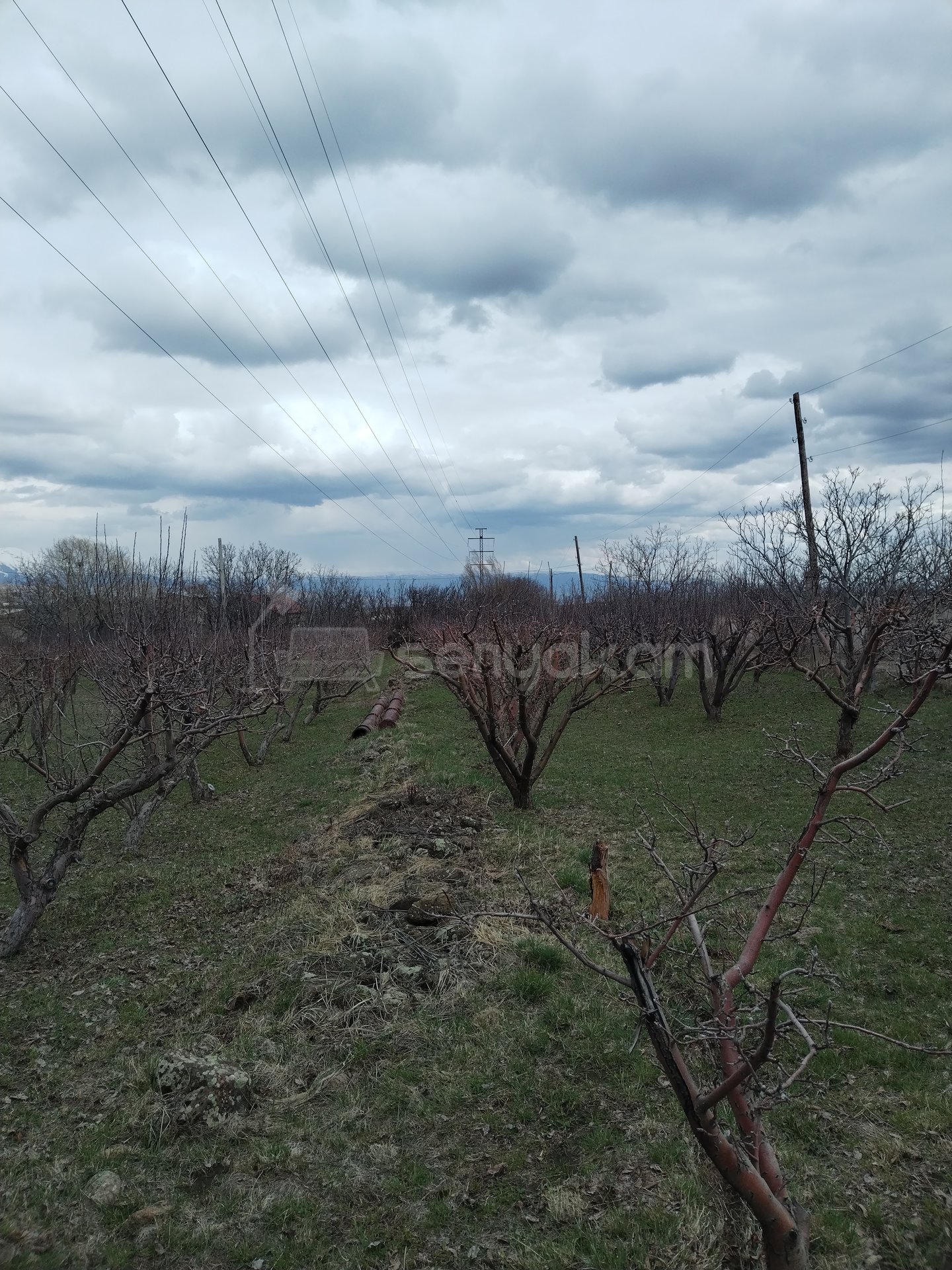 Բնակելի Նշանակության Հողատարածք, 3400քմ, Խմելու Ջրով, Էլեկտրականությամբ, Ցանկապատված