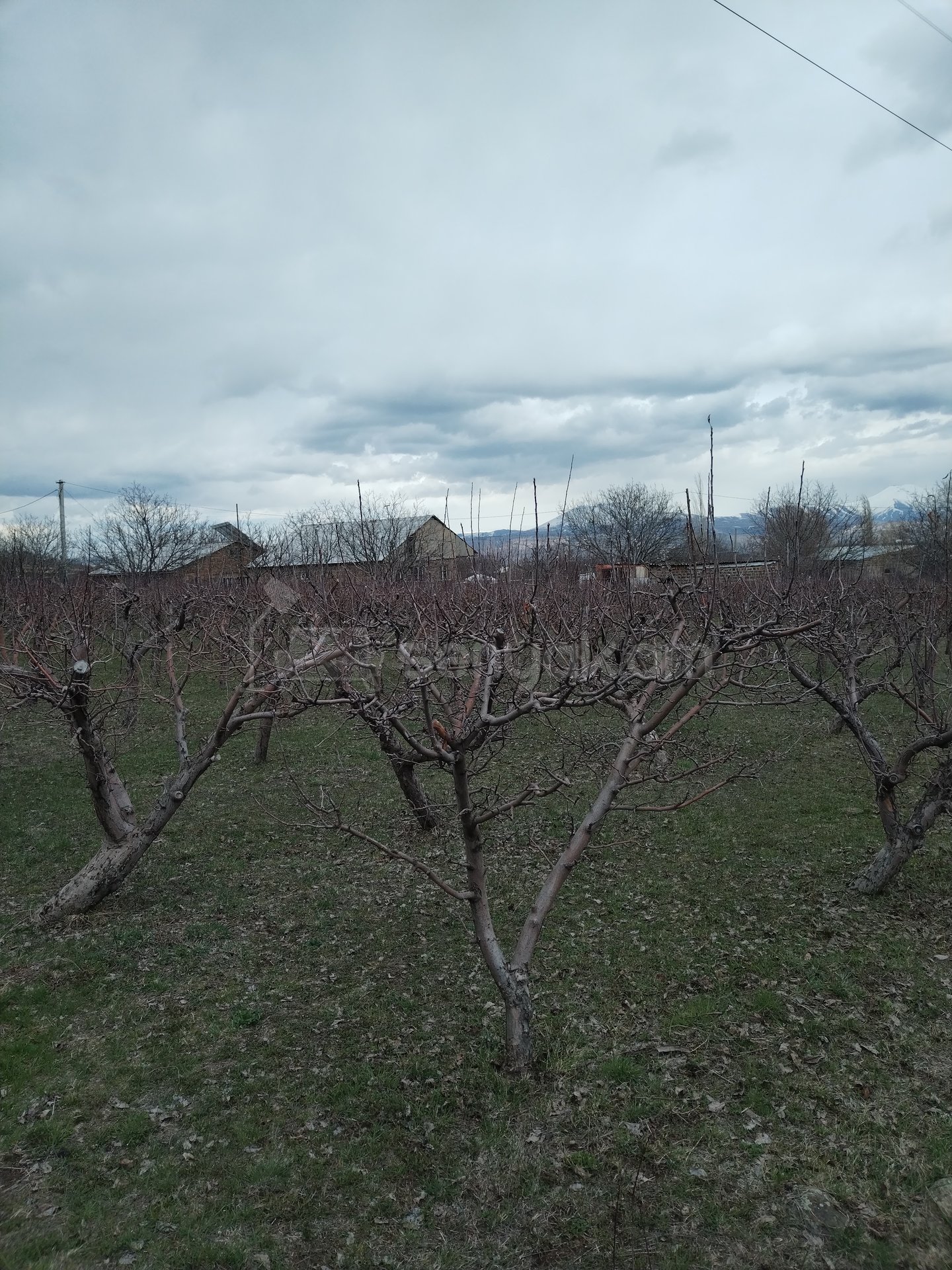 Բնակելի Նշանակության Հողատարածք, 3400քմ, Խմելու Ջրով, Էլեկտրականությամբ, Ցանկապատված