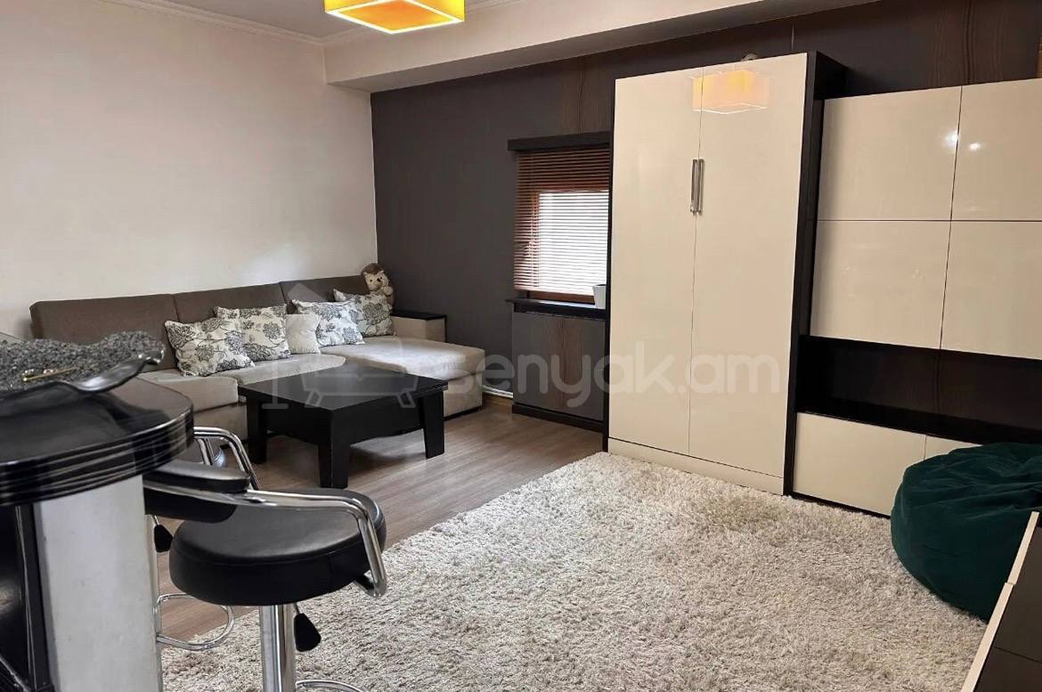 2 Սենյականոց Բնակարան, 47քմ, 6/9 հարկ, Կոսմետիկ Վերանորոգված, Կահավորված