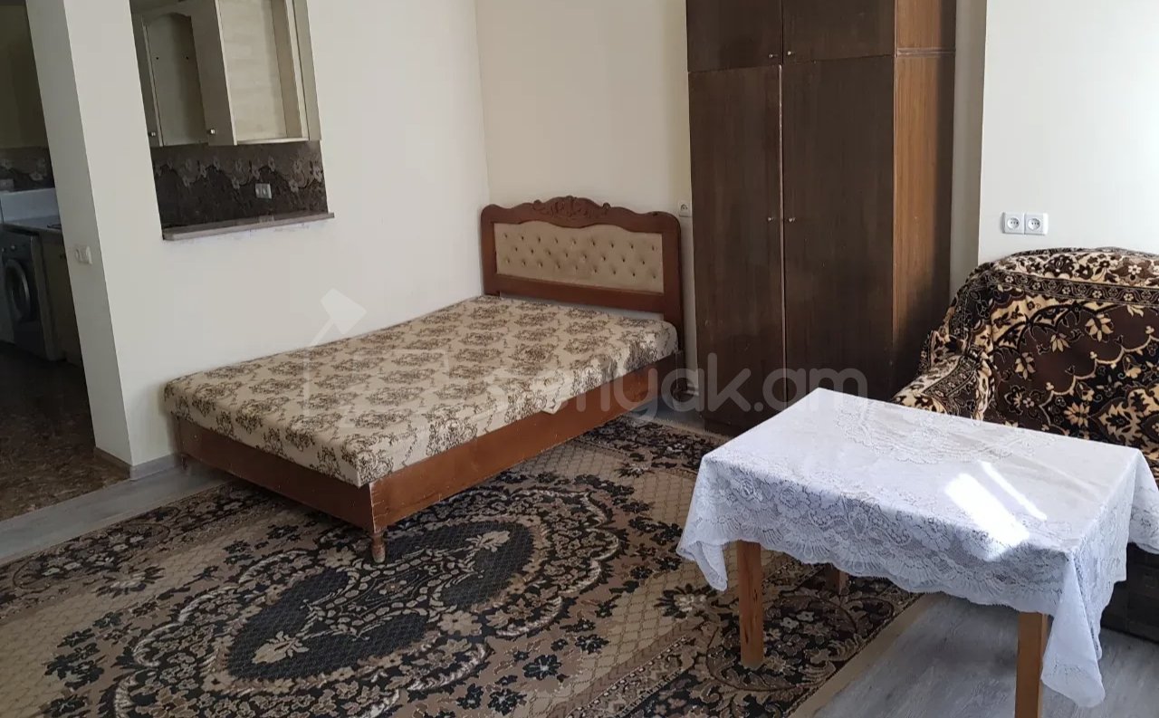 1 Սենյականոց Բնակարան Քարե Շենքում, 45քմ, 1/1 հարկ, Նորմալ Վիճակում, Կահավորված