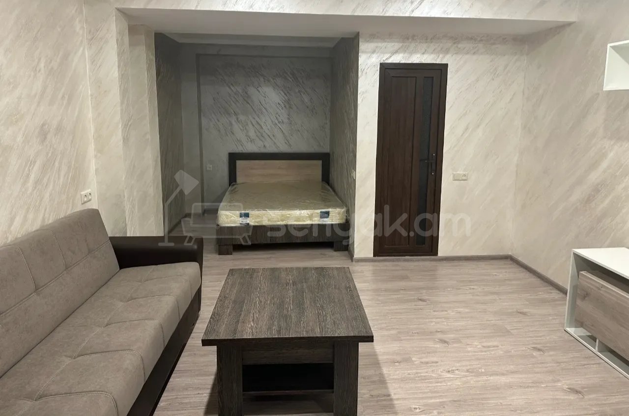 2 Սենյականոց Բնակարան Քարե Շենքում, 40քմ, 1/1 հարկ, Կապիտալ Վերանորոգված, Կահավորված