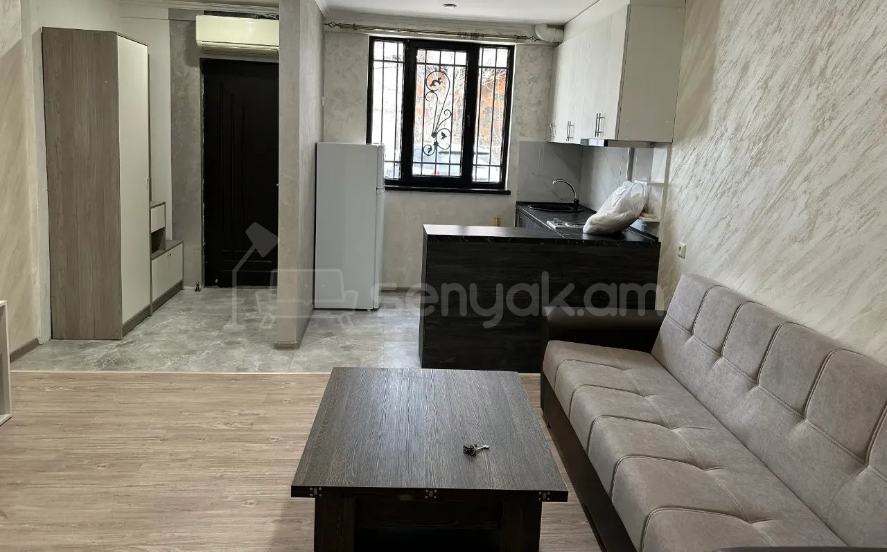 2 Սենյականոց Բնակարան Քարե Շենքում, 40քմ, 1/1 հարկ, Կապիտալ Վերանորոգված, Կահավորված