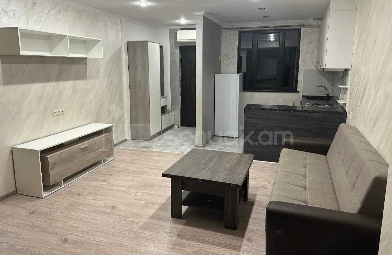 2 Սենյականոց Բնակարան Քարե Շենքում, 40քմ, 1/1 հարկ, Կապիտալ Վերանորոգված, Կահավորված