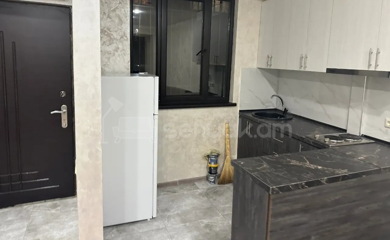 2 Սենյականոց Բնակարան Քարե Շենքում, 40քմ, 1/1 հարկ, Կապիտալ Վերանորոգված, Կահավորված