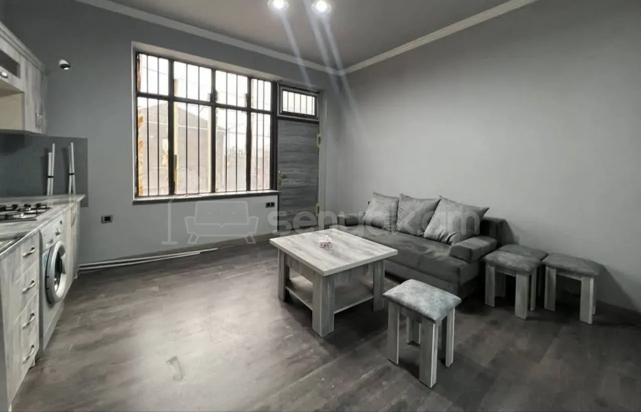 2 Սենյականոց Բնակարան Քարե Շենքում, 52քմ, 1/1 հարկ, Կապիտալ Վերանորոգված, Կահավորված