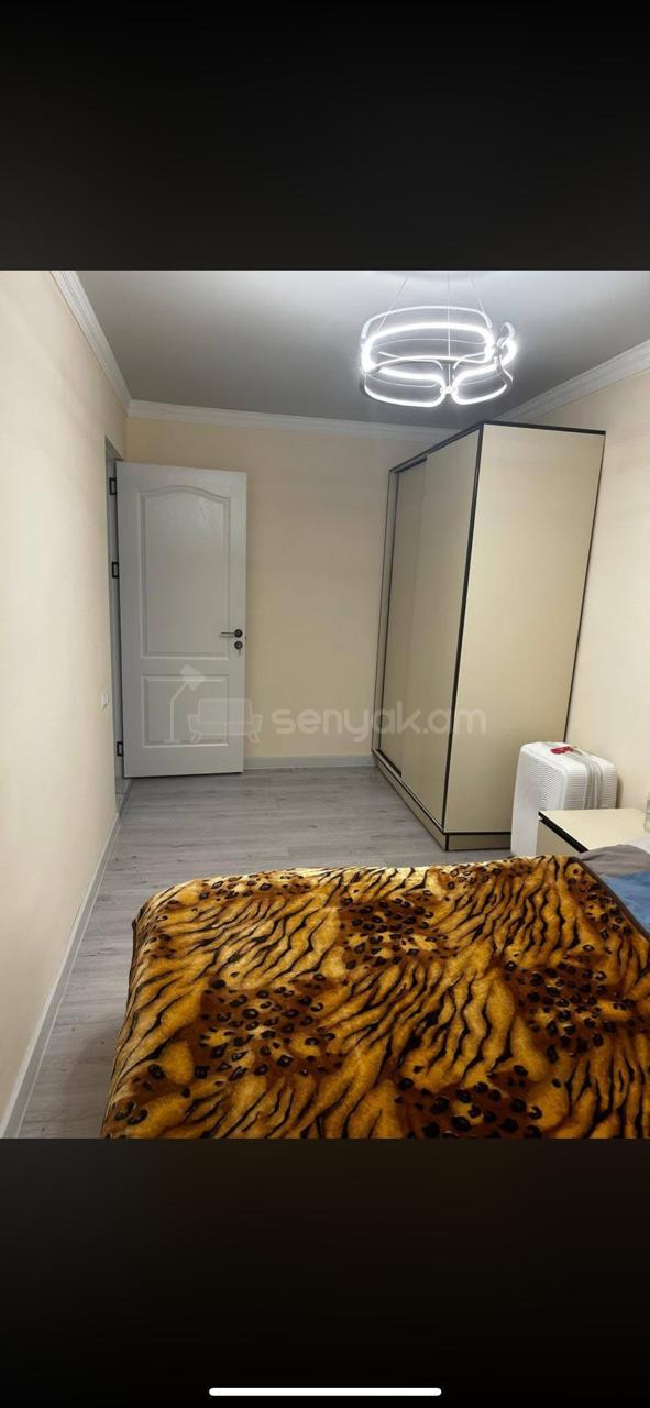 2 Սենյականոց Բնակարան Քարե Շենքում, 50քմ, 4/5 հարկ, Դիզայներական Վերանորոգված, Կահավորված