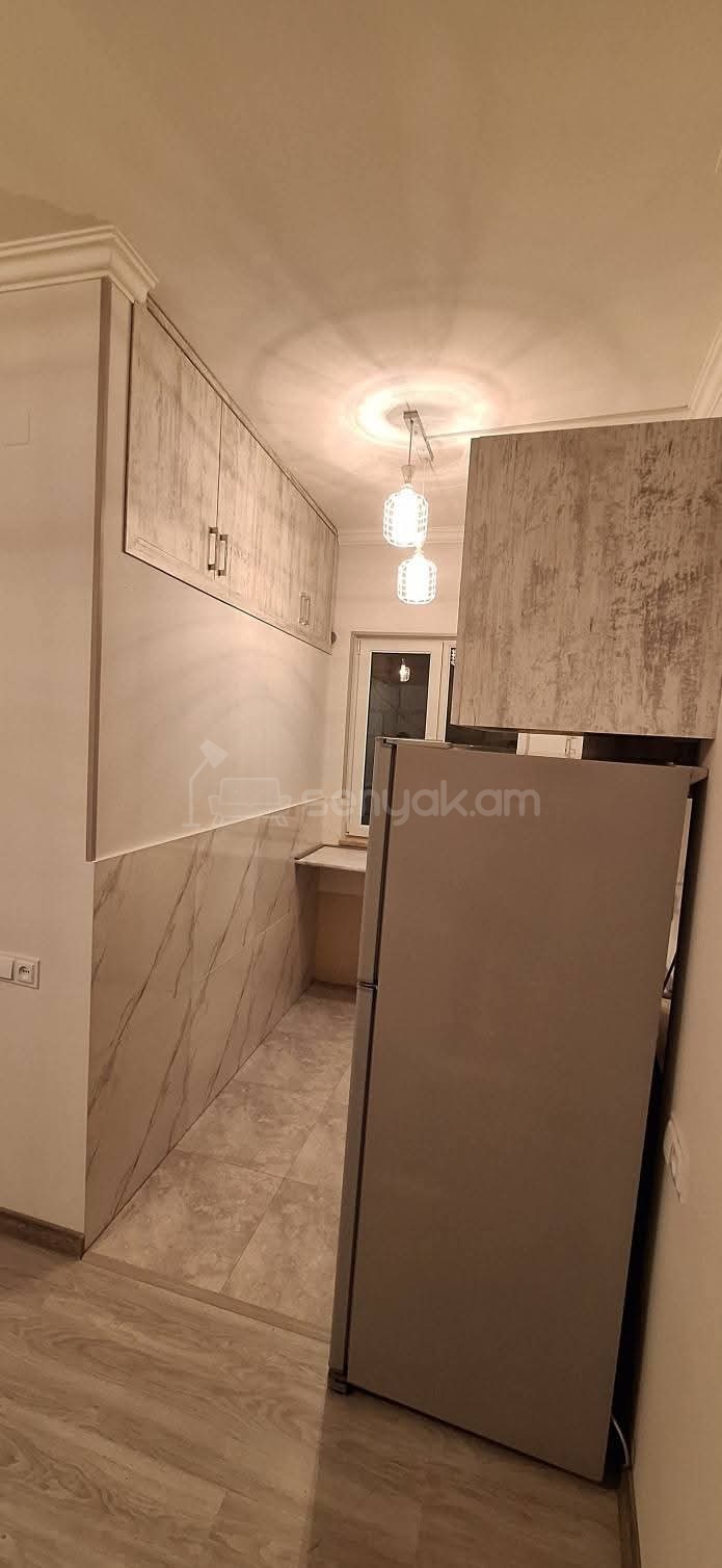 2 Սենյականոց Բնակարան Քարե Շենքում, 40քմ, 1/1 հարկ, Նորմալ Վիճակում, Կահավորված