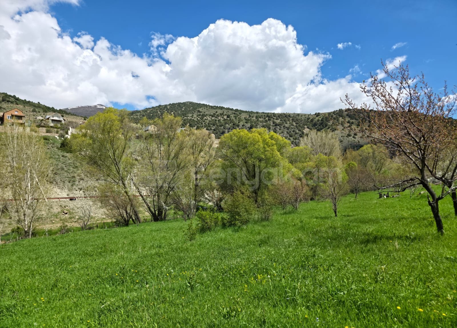 Հողատարածք, 9000քմ, Ոռոգման Ջրով, Էլեկտրականությամբ