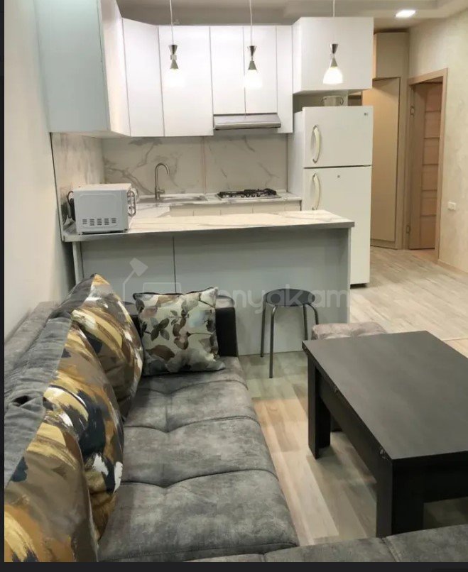 2 Սենյականոց Բնակարան, 57քմ, 6/9 հարկ, Կապիտալ Վերանորոգված, Կահավորված