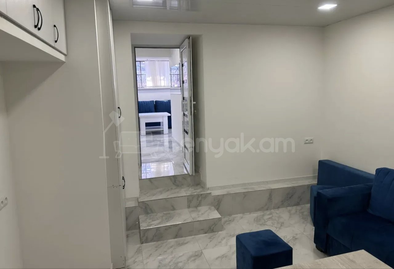 2 Սենյականոց Բնակարան Քարե Շենքում, 46քմ, 1/1 հարկ, Կապիտալ Վերանորոգված, Կահավորված