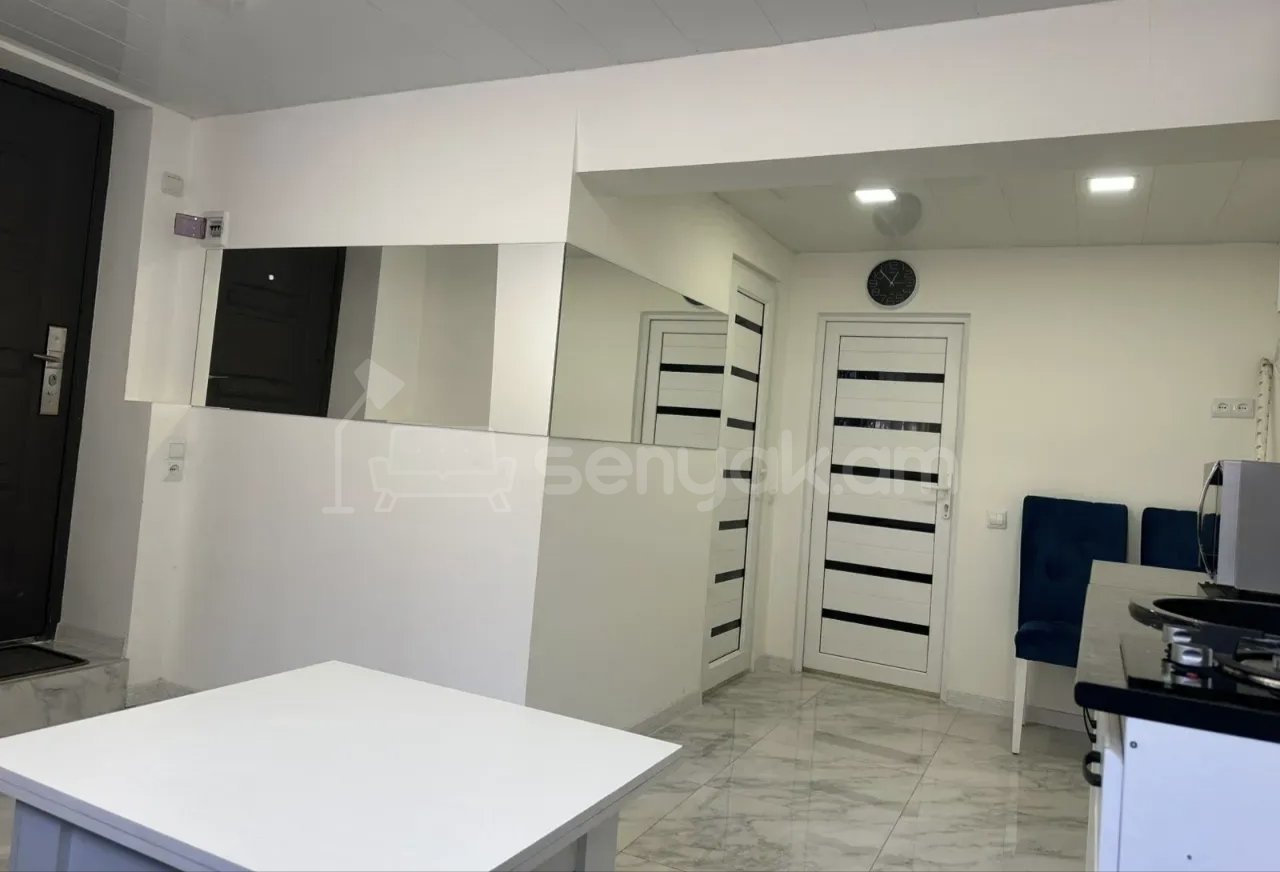 2 Սենյականոց Բնակարան Քարե Շենքում, 46քմ, 1/1 հարկ, Կապիտալ Վերանորոգված, Կահավորված