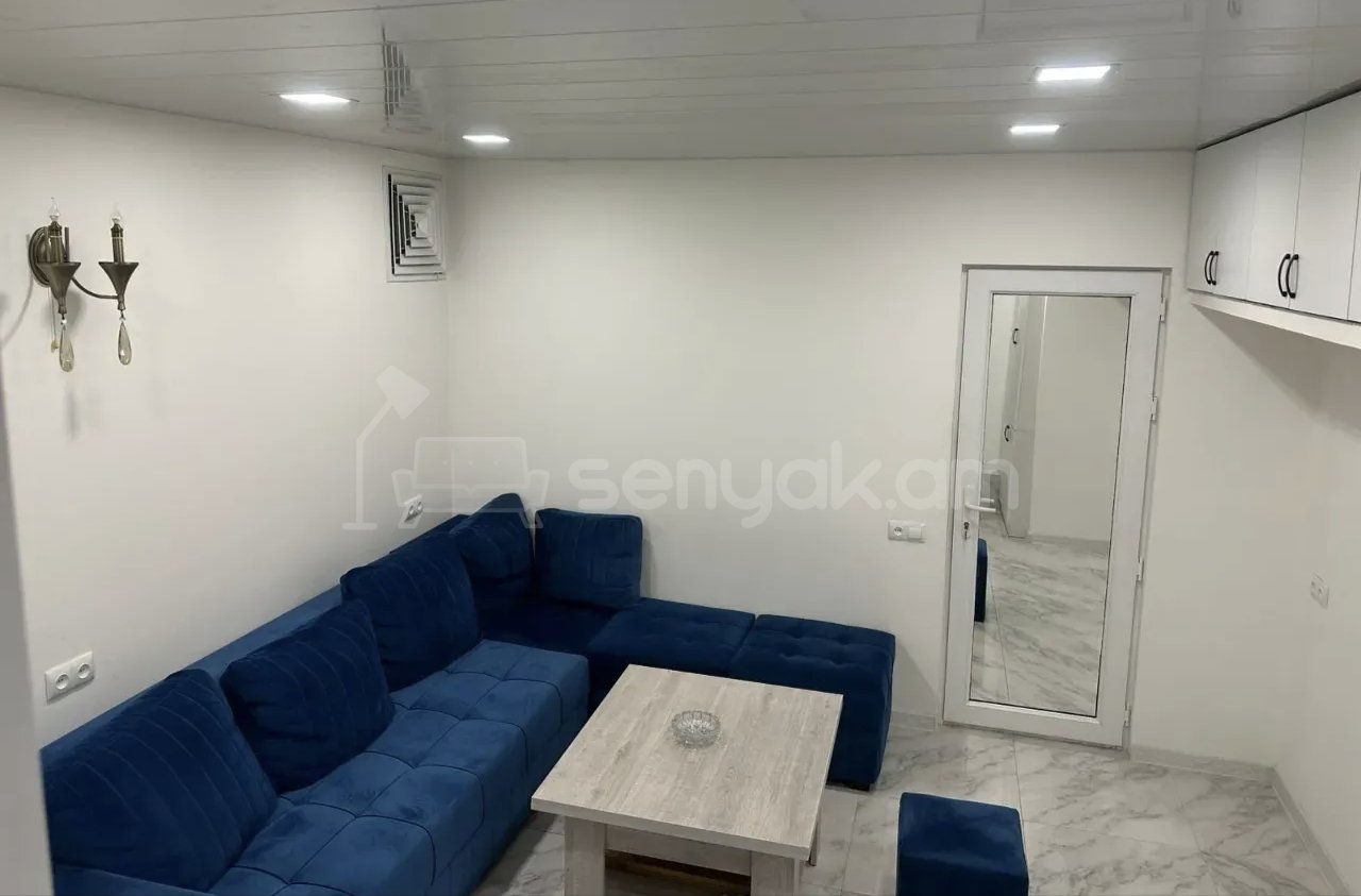 2 Սենյականոց Բնակարան Քարե Շենքում, 46քմ, 1/1 հարկ, Կապիտալ Վերանորոգված, Կահավորված