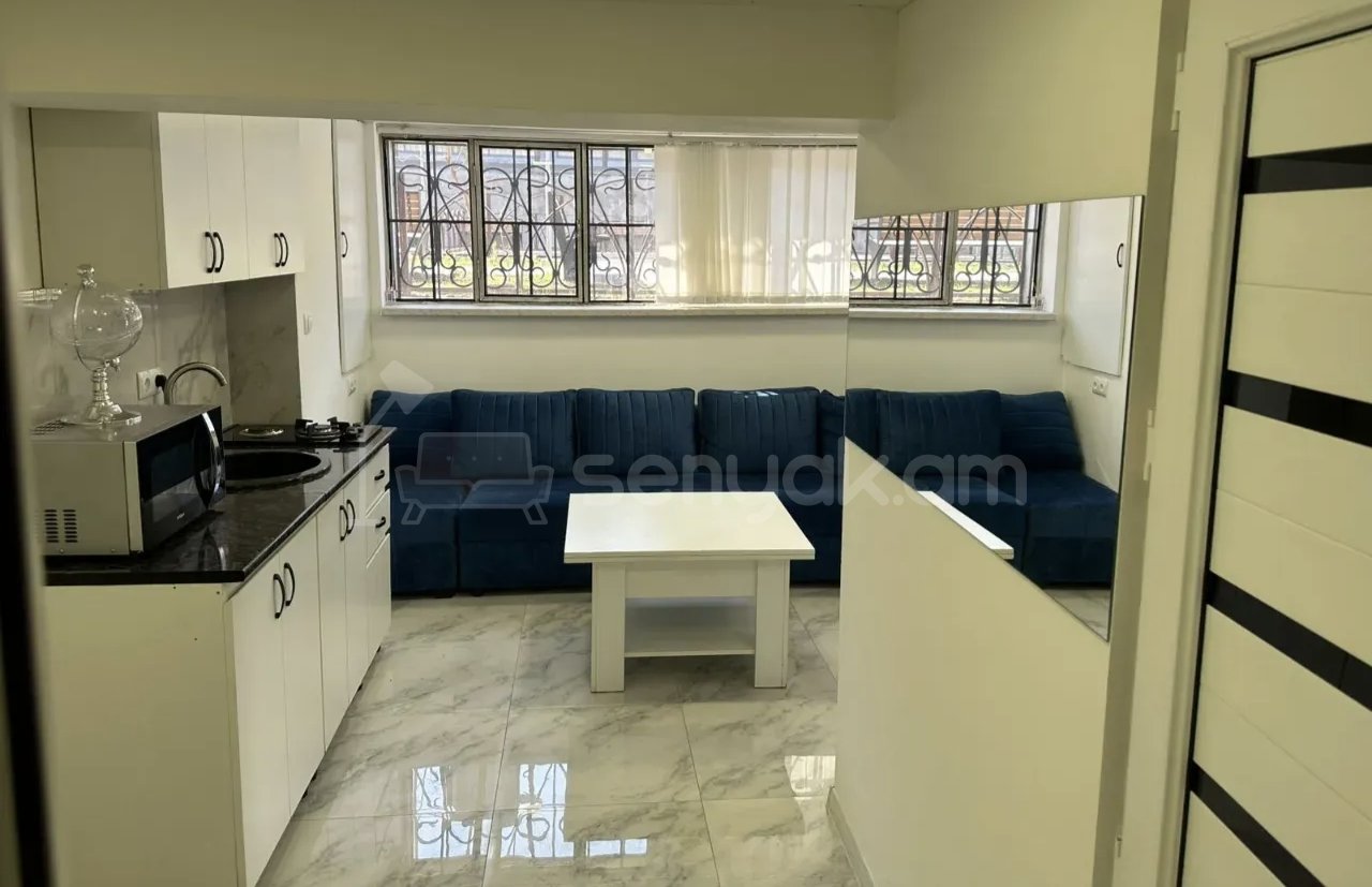 2 Սենյականոց Բնակարան Քարե Շենքում, 46քմ, 1/1 հարկ, Կապիտալ Վերանորոգված, Կահավորված