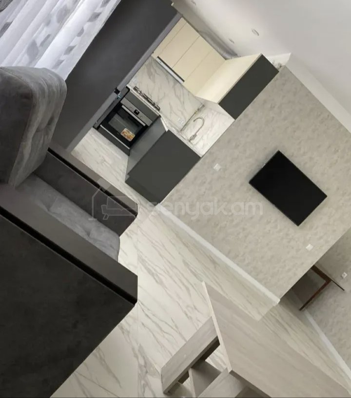 2 Սենյականոց Բնակարան Քարե Շենքում, 46քմ, 2/5 հարկ, Կապիտալ Վերանորոգված, Կահավորված