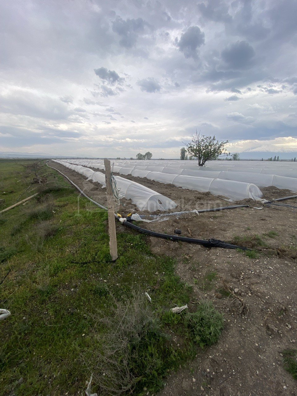 Հողամաս, 1920քմ, Ոռոգման Ջրով, Էլեկտրականությամբ