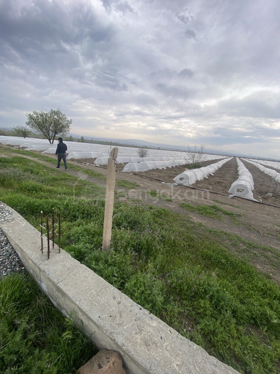 Հողամաս, 1920քմ, Ոռոգման Ջրով, Էլեկտրականությամբ