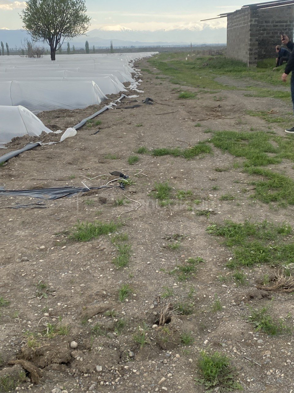 Հողամաս, 1920քմ, Ոռոգման Ջրով, Էլեկտրականությամբ