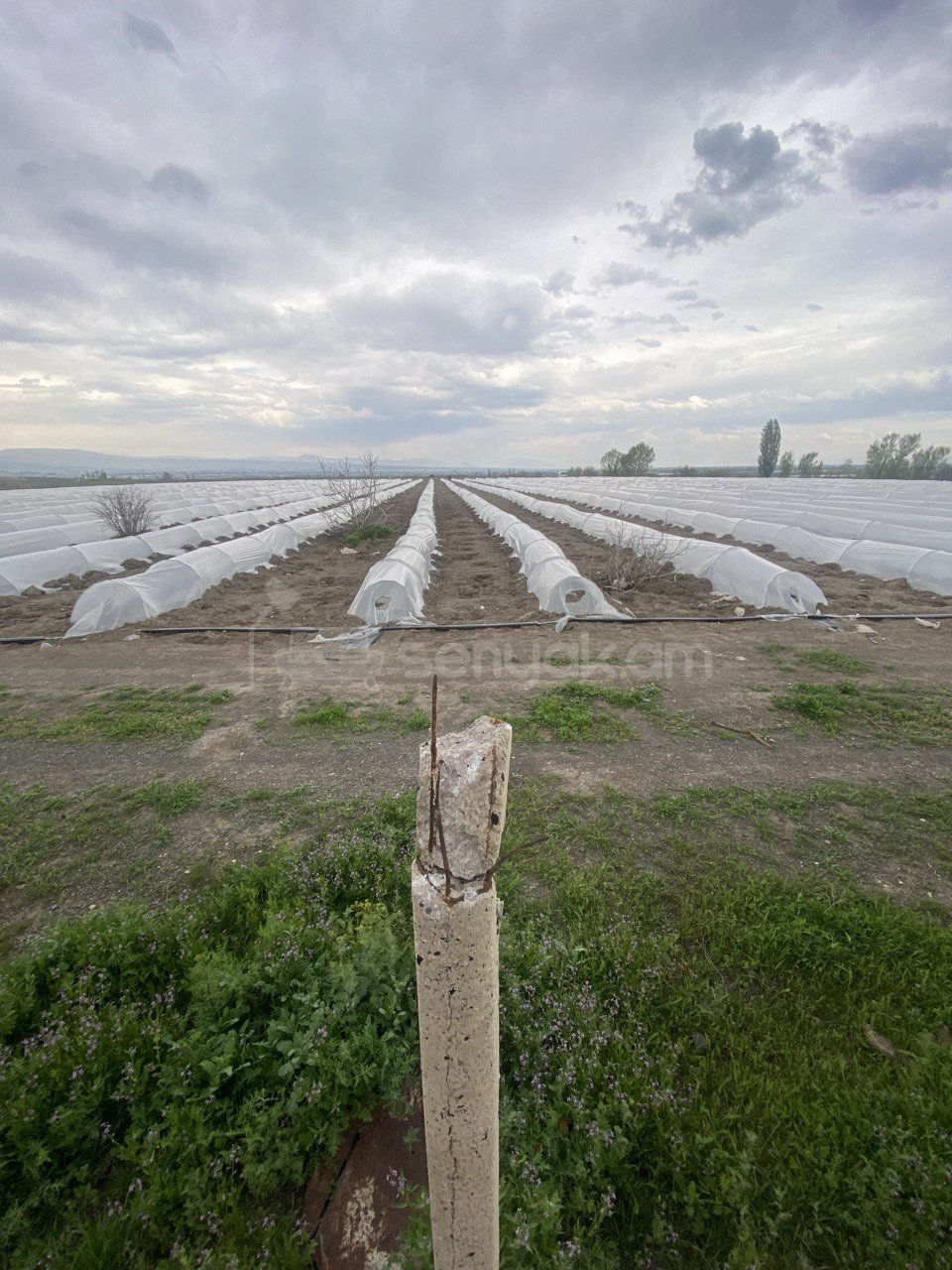 Հողամաս, 1920քմ, Ոռոգման Ջրով, Էլեկտրականությամբ