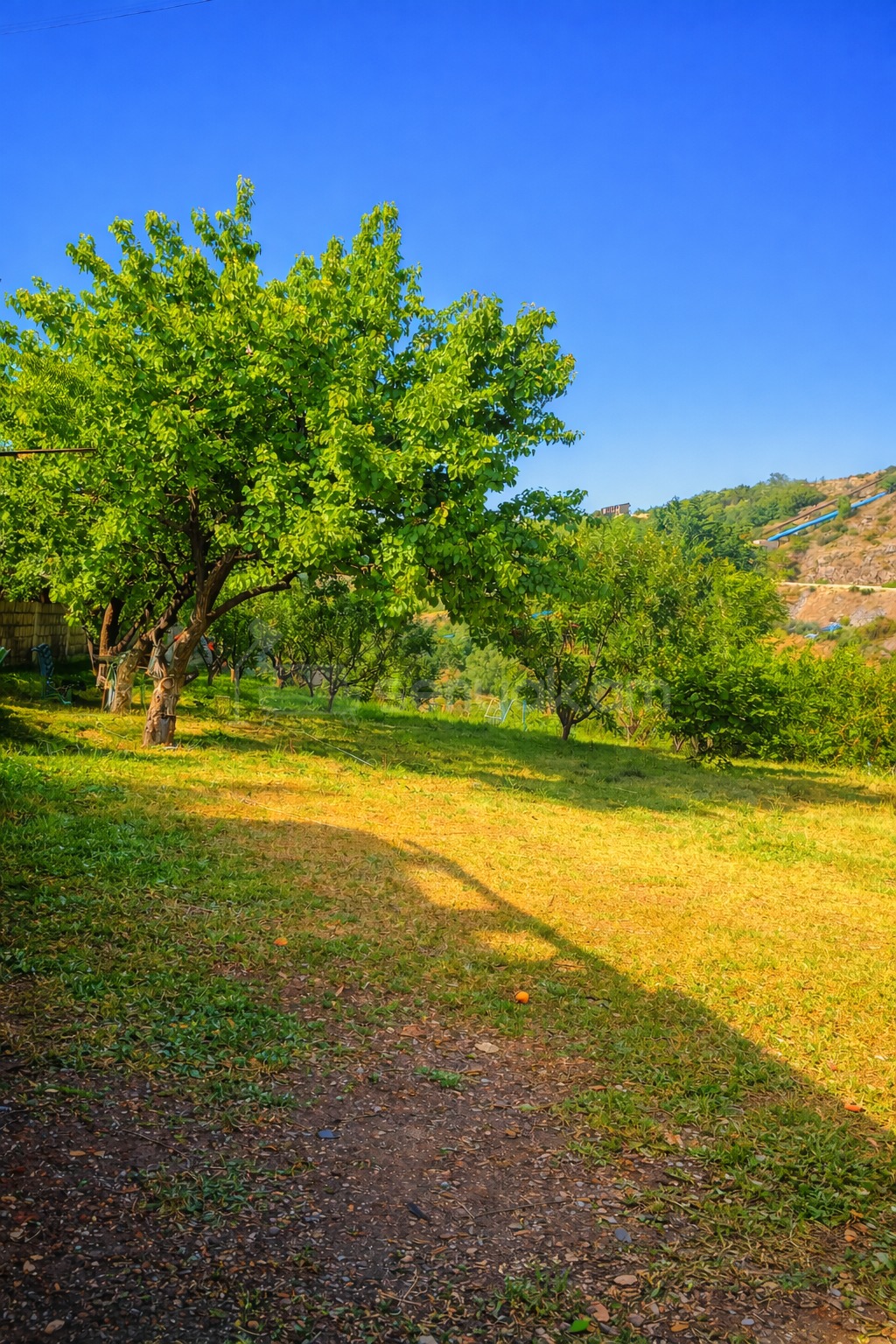 Բնակելի Նշանակության Հողատարածք, 1500քմ, Խմելու Ջրով, Էլեկտրականությամբ, Պարսպապատ