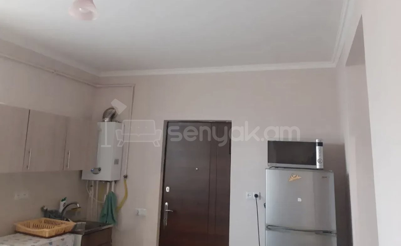 2 Սենյականոց Բնակարան Քարե Շենքում, 52քմ, 1/1 հարկ, Կապիտալ Վերանորոգված, Կահավորված